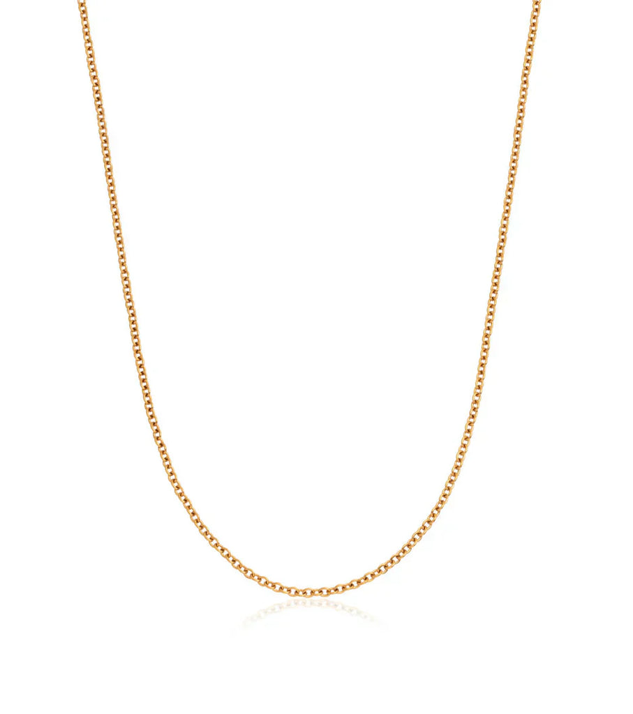 Fine Chain Necklace (Gold)